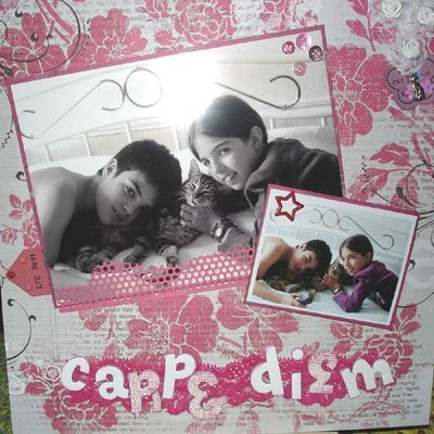 Mon scrap, suite ...