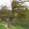 Guadalupe River State Park