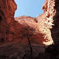 Salta, le 22 mai: la quebrada de Cafayate