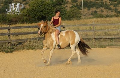 Du dressage à la complicité