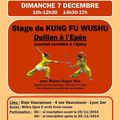Stage de Wushu - Epée combinée à 2 - Duilian