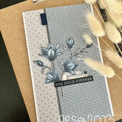 Une belle journée ... 