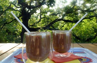 Une boisson rafraîchissante et bienfaisante pour mon 4 heures 