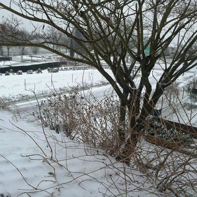 Reveil enneigé ce matin :+)