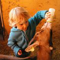 Un dimanche à la ferme