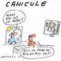 Canicule !