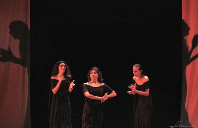 Flamenco...(3)