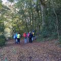 30 OCTOBRE 2016 LA ROCHE EN BRENIL 12 KM