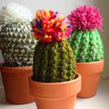 Les cactus crochetés de Señorita Crochet