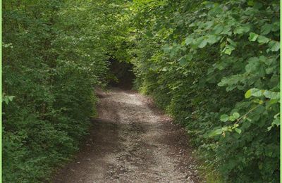 Rendez-vous Ancestral : Le chemin de relève…