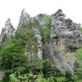 Les sucettes de Borne- Vercors