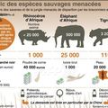 Le trafic des espèces menacées - AFP.fr - 17 février 2014