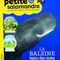 Petite Salamandre - numéro aout-septembre 2018