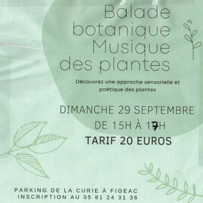 BALADE BOTANIQUE ET MUSIQUE DES PLANTES A FIGEAC