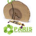 Greenskate Paris 2011