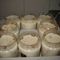 Premiers yaourts à la vanille