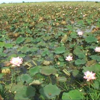 CAMBODGE LE LAC TONLE SAP