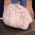 L'œuf de l'art