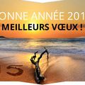 Bonne année 2015 !