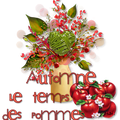 🍏🍏🍏Moelleux aux pommes de Laurent Mariotte🍏🍏🍏