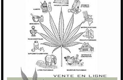 - documentaire / Utilisations et histoire du Chanvre, Cannabis, écologique, économique