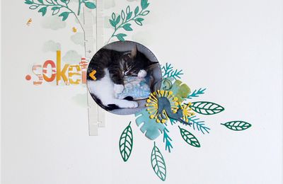 Soket en Birmanie ;)