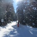 De Bois Barbu à Corençon