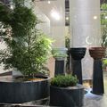 les plantes vertes pour les grands espace - Green plants for large spaces