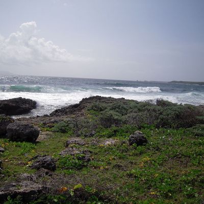 Coucou, à bientôt !!!!