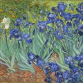 Iris de Van Gogh