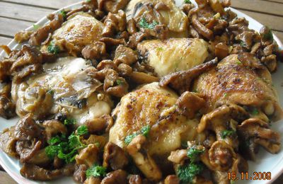 POULET AUX GIROLLES