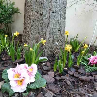 SAL Sac A Laine étape n° 4 ...