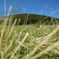 Clairière de l'abri de Rimbach - septembre 2010