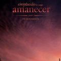 Breaking Dawn: Affiche du film