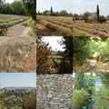 paysages de Provence