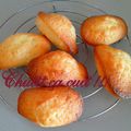 Madeleines