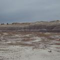 Petrified Forest Part2