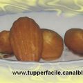 MADELEINES DE COMMERCY (MOULE SILICONE)