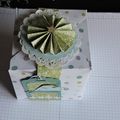 BOÎTE AVEC 1 FEUILLE 30/30CM