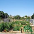VILLENEUVE : La municipalité a inauguré les jardins partagés du Triolvère