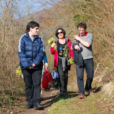 Promenons nous dans les bois ...pendant qu' les jonquilles sont là !!!