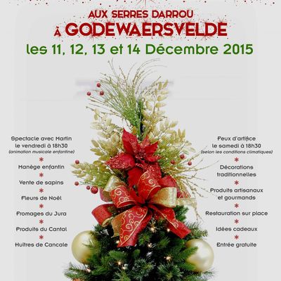 Marché de Noël 2015 #2#