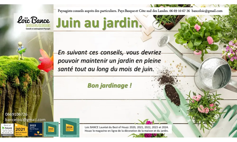 👨‍🌾 Juin au jardin par paysagiste Pays basque et Paysagiste Landes.
