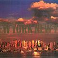 (Livre) New-York New-York de Richard Berenholtz