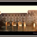 Château de Chenonceau : le château des Dames