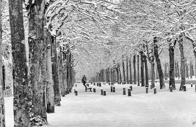 Compiègne sous la neige, 07 Février 2018