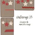 Challenge 23