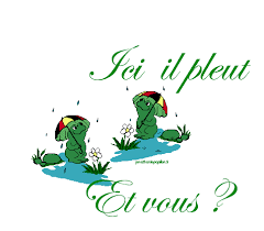 Cartes de voeux envoyées.