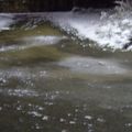 L'inquiètude d'une mère