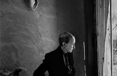 A FELICIDADE É UN PAPAGAIO DESECADO